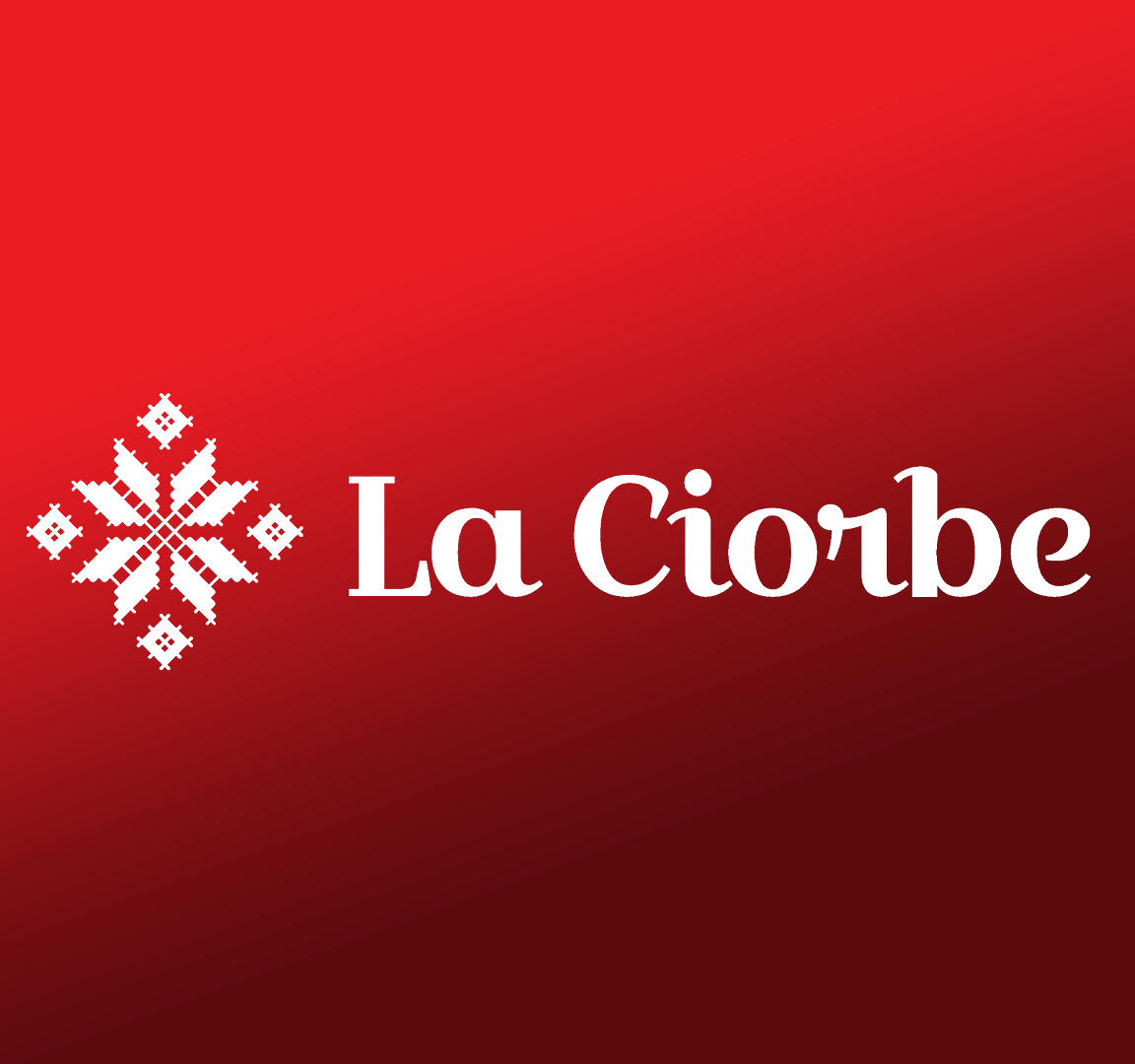 120199507_381636566558292_6617981473331953335_n